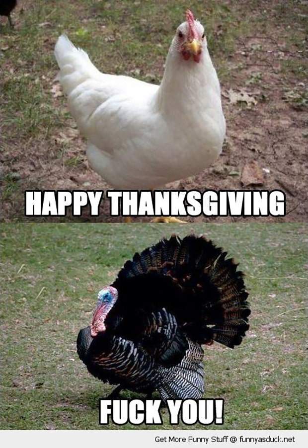 Funny Thanksgiving Memes thanksgiving memes
