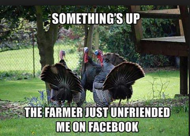 Funny Thanksgiving Memes thanksgiving memes