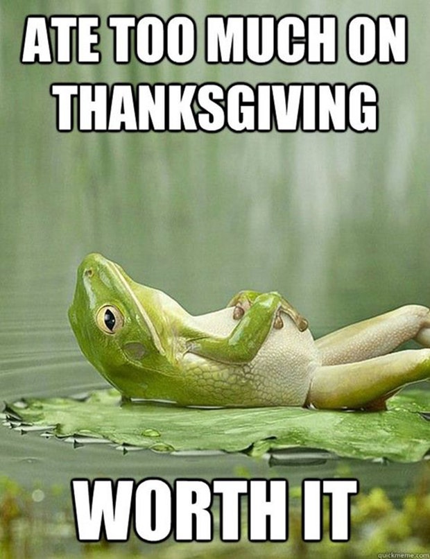Funny Thanksgiving Memes thanksgiving memes