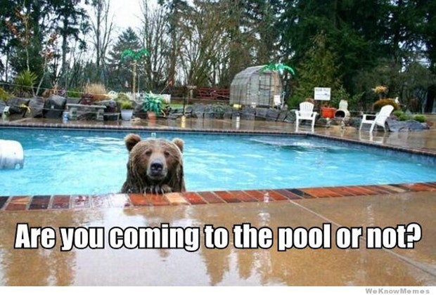 funny pool memes first day of summer memes funny pool memes first day of summer