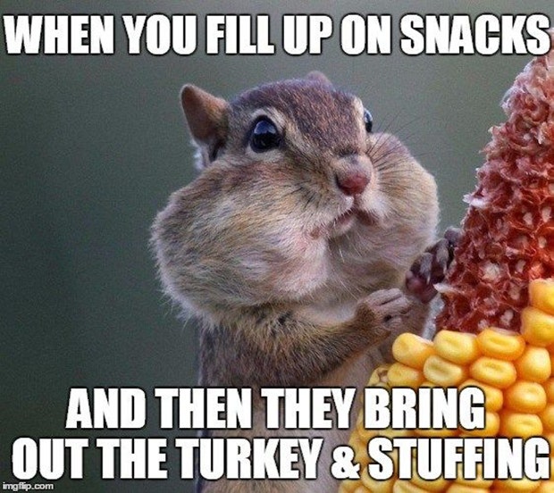 Funny Thanksgiving Memes thanksgiving memes