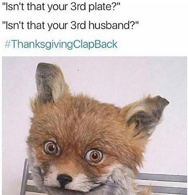Funny Thanksgiving Memes thanksgiving memes