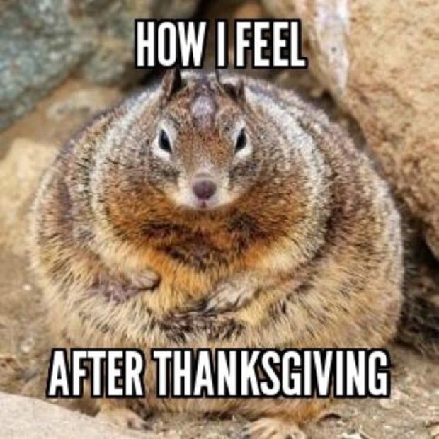 Funny Thanksgiving Memes thanksgiving memes