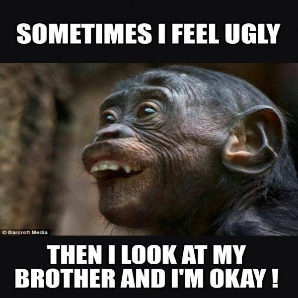 funny brother memes funny brother memes