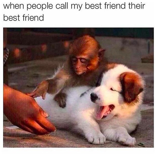 best friend memes for friendship day national best friends day meme
