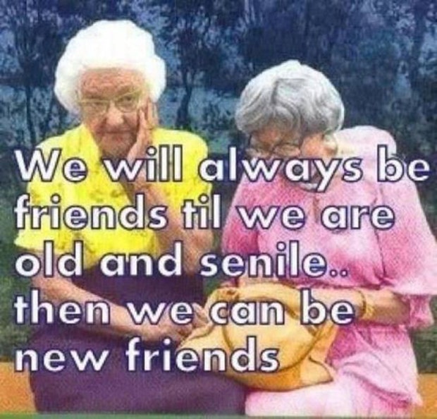 best friend memes for friendship day national best friends day meme