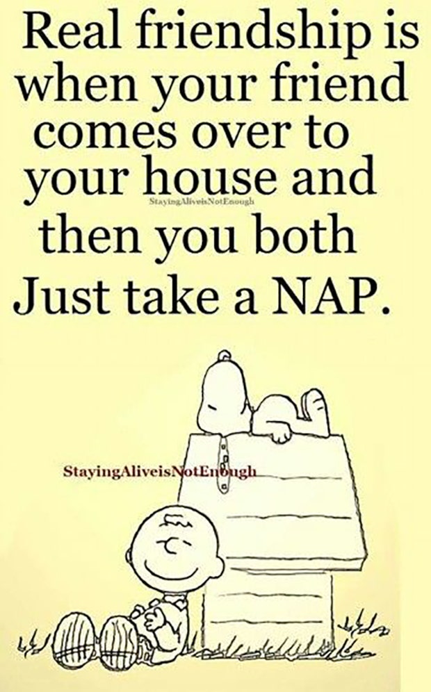 best friend memes for friendship day national best friends day meme