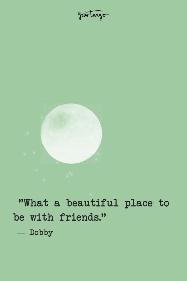 harry potter quotes, harry potter fans make better friends harry potter quotes, harry potter fans make better friends #HappyBirthdayHarryPotter