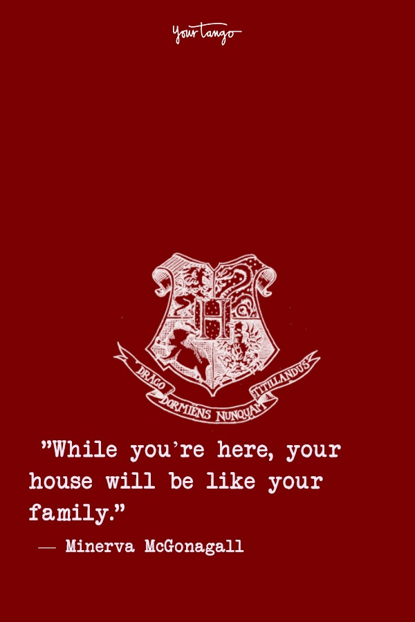harry potter quotes, harry potter fans make better friends harry potter quotes, harry potter fans make better friends