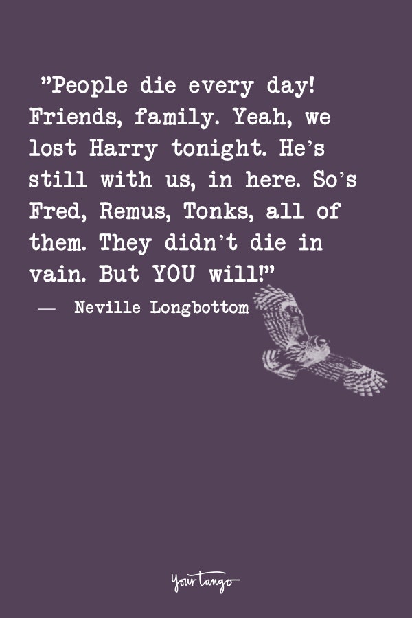 harry potter quotes, harry potter fans make better friends harry potter quotes, harry potter fans make better friends