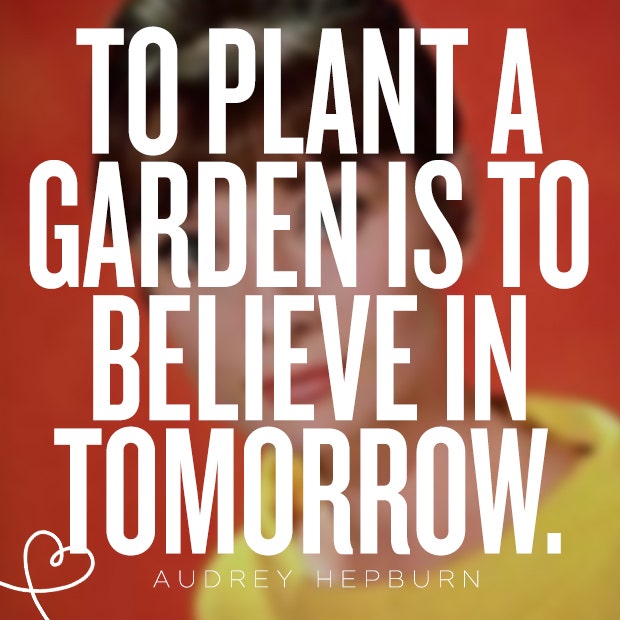 Audrey Hepburn quotes audrey hepburn's birthday