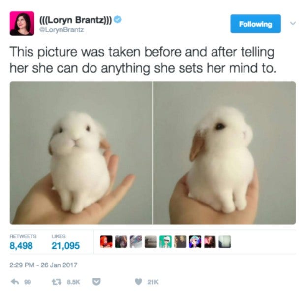 feminist memes feminist memes