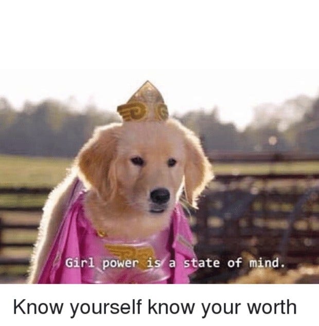 feminist memes feminist memes