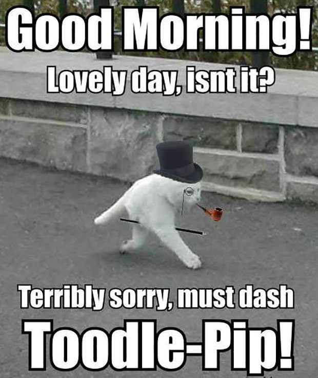 Funny Good Morning Memes, Peppy Quotes About Morning People Funny Good Morning Memes, Peppy Quotes About Morning People