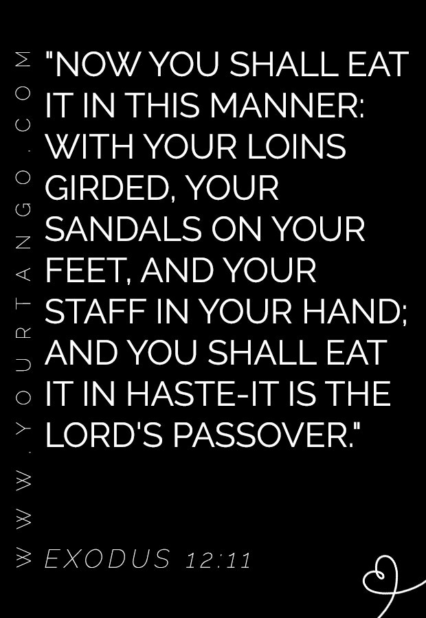 passover quotes passover quotes