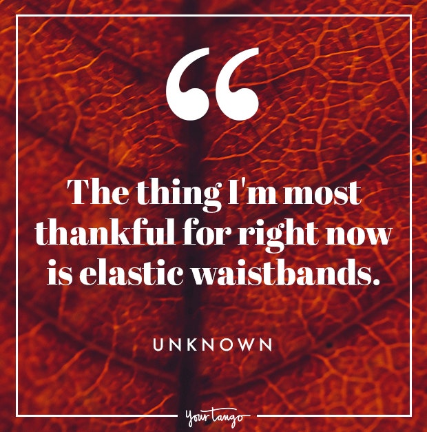 Thanksgiving quotes elastic waistbands Thanksgiving quote