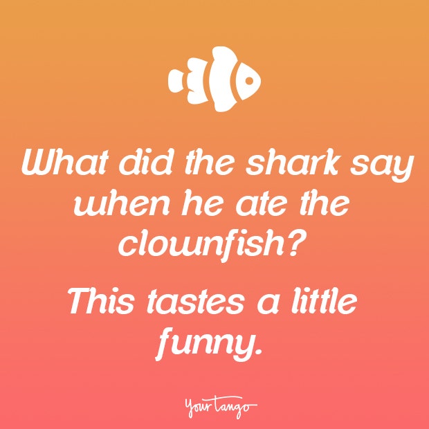 Wednesday memes funny jokes Wednesday memes funny jokes