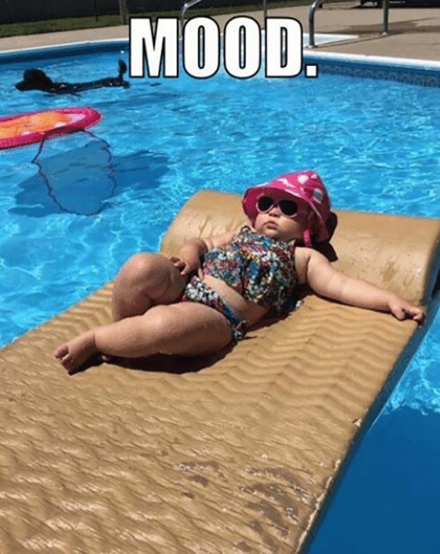 funny pool memes first day of summer memes funny pool memes first day of summer memes