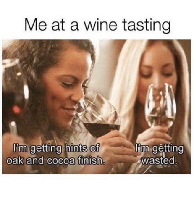 National Wine Day Memes Wine Memes About Wine Funny Wine Memes National Wine And Cheese Day