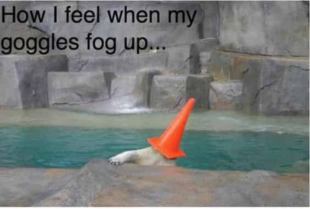 funny pool memes first day of summer memes funny pool memes first day of summer memes