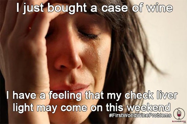 National Wine Day Memes Wine Memes About Wine Funny Wine Memes National Wine And Cheese Day