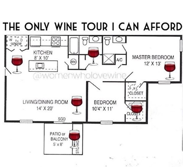 National Wine Day Memes Wine Memes About Wine Funny Wine Memes National Wine And Cheese Day