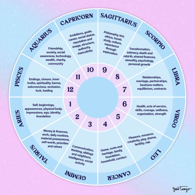 astrology houses wheel