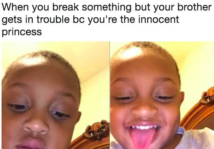 funny brother memes brother memes