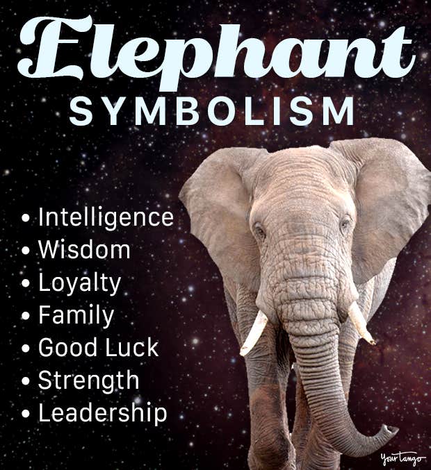 elephant symbolism