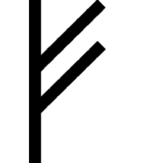 fehu rune fehu rune