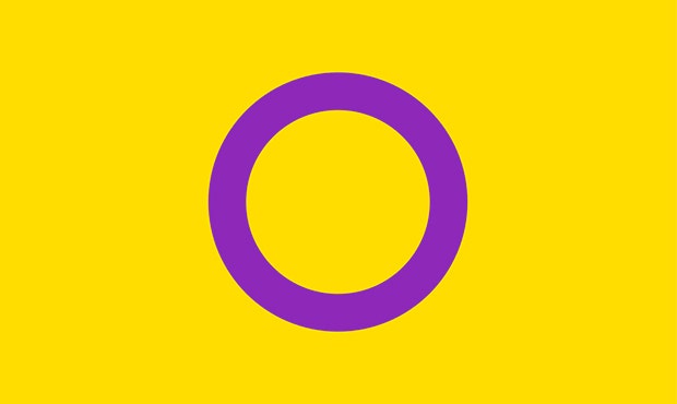 Intersex Pride Flag