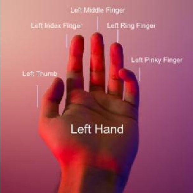 left hand fingers left hand fingers