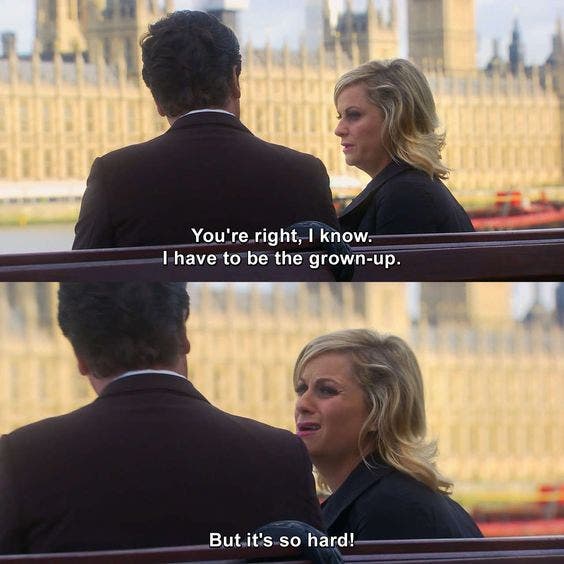 i know i have to be grown up but it's so hard leslie knope