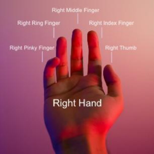 right hand finger diagram right hand finger diagram