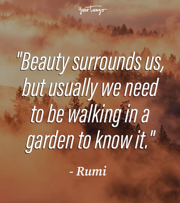 rumi quotes rumi quotes