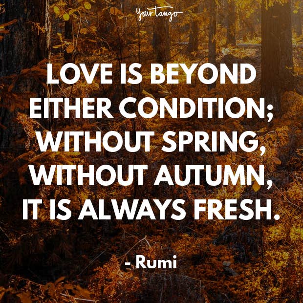 rumi quotes rumi quotes