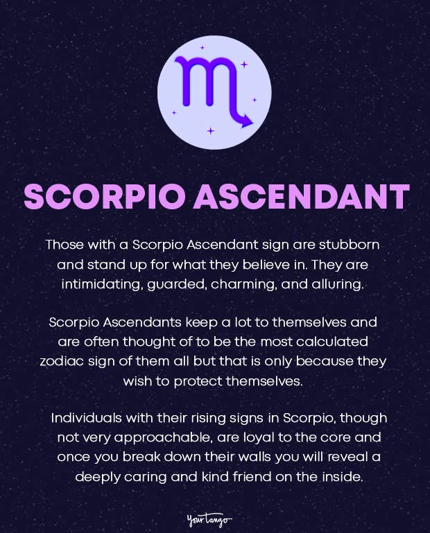 scorpio rising sign traits scorpio rising sign traits