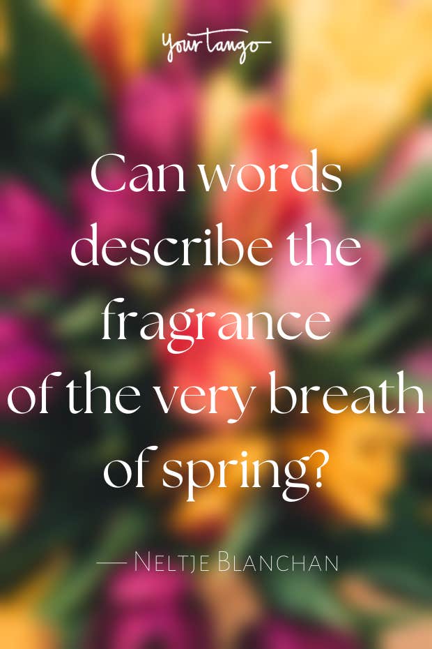 spring quotes spring quotes