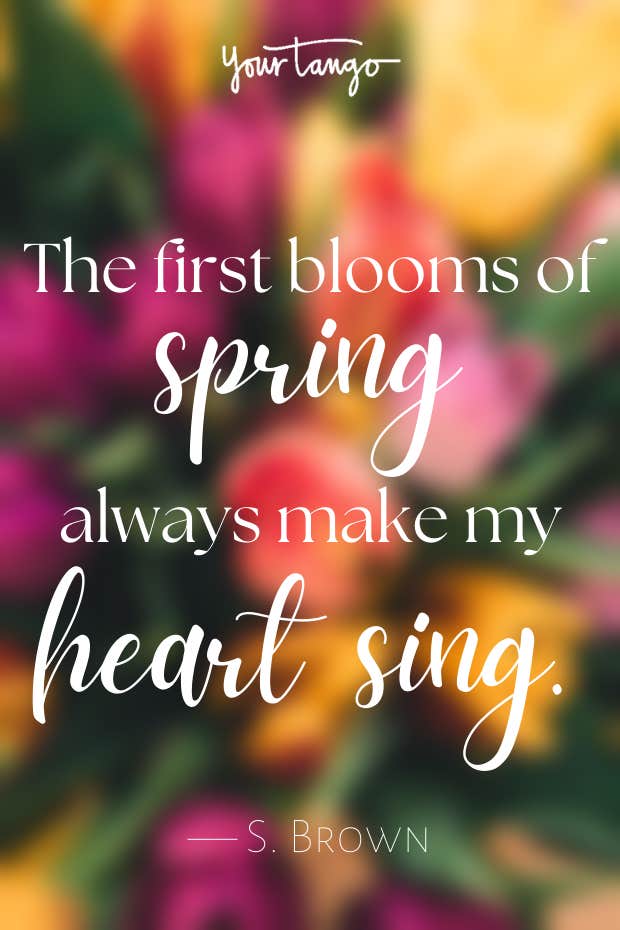 first day of spring quotes first day of spring quotes