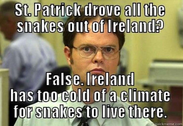 st. patricks day meme st patricks day memes