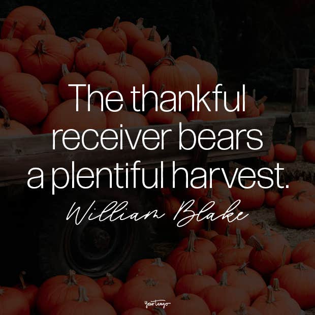 Thanksgiving quotes thanksgiving quotes