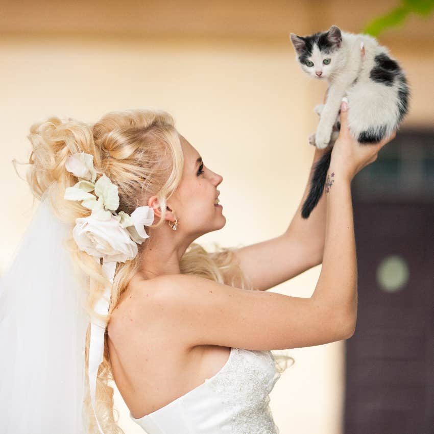 A Stray Kitten Crashes A Couple's Wedding Ceremony And Finds Herself A New Forever Home