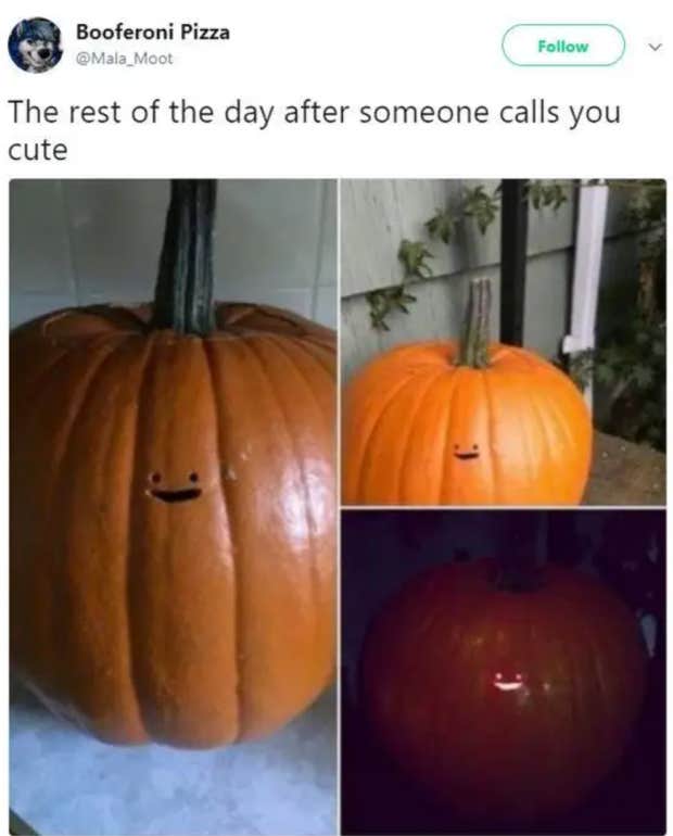 cute halloween meme cute halloween meme