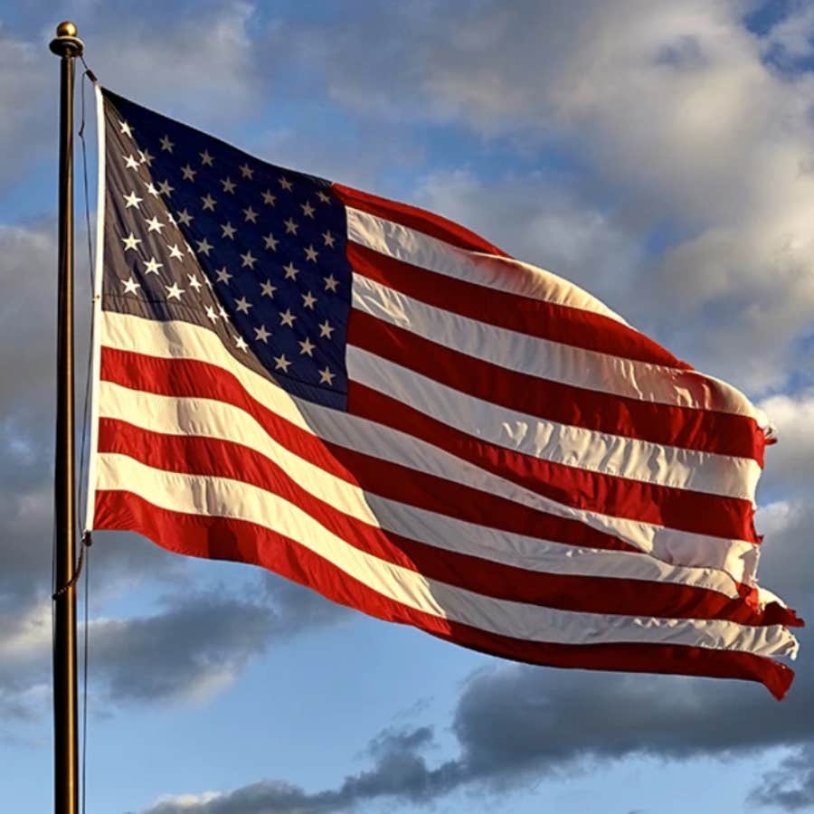 teacher wonders if she's required to force her students to stand during the pledge of allegiance